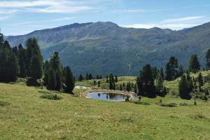 Lai da Juata Lai da Juata