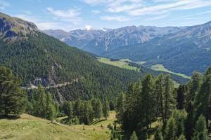 Alp Champatsch, Sicht zum Ortler Alp Champatsch, Sicht zum Ortler