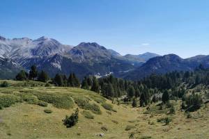 Oberhalb Fop da Buffalora