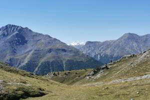 Blick zum Piz Bernina