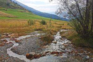 Moorgebiet Pra dal Vegl, Rom-Quellaufstösse bei Tschierv