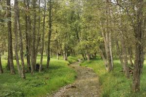 A la riva dal Rom, bei Fuldera