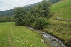 A la riva dal Rom, bei Fuldera