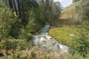 A la riva dal Rom, zwischen Fuldera und Valchava