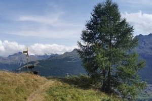 Embdbach-Tal