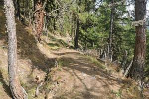 Zwischen Embdbachtal und Pletsche