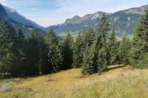 Gsteig, Aufstieg zur Längmatte
