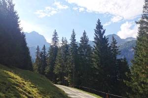 Gsteig, Längmatte
