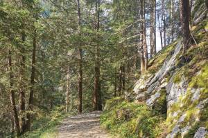 Gsteig, Abstieg zur Sanetschbahn