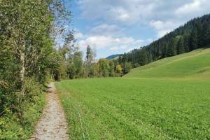 Gsteig, Saaneuferweg