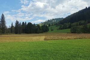 Gsteig, Moorgebiet Rohr
