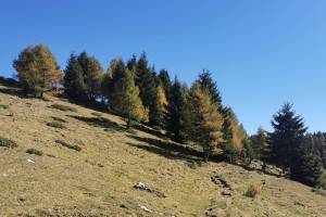 Alpe di Croveggia