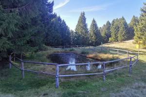 Laghetti della Costa