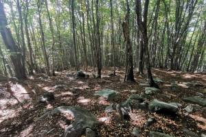 Oberhalb Monti di Paudo