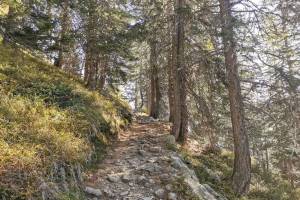 Aufstieg zur Capanna Piansecco