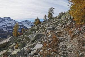Zwischen Alpe di Ruino und Alpe di Pesciora