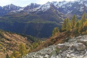 Zwischen Alpe di Ruino und Alpe di Pesciora