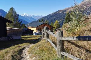 Bellwald