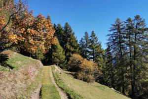 Gommer Höhenweg bei Bellwald