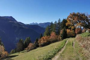 Gommer Höhenweg bei Bellwald
