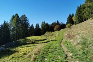 Gommer Höhenweg bei Bellwald