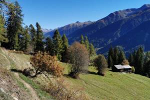 Gommer Höhenweg zwischen Bellwald und Selkingen