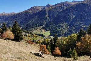 Gommer Höhenweg oberhalb Blitzingen