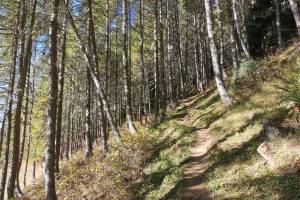 Reckingen, Aufstieg zum Gommer Höhenweg
