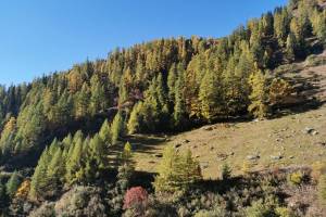 Gommer Höhenweg, Bächital