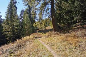 Gommer Höhenweg, Igschene
