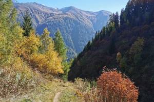 Gommer Höhenweg, Hilperschbachtal