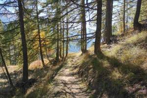 Gommer Höhenweg, oberhalb Blitzingen