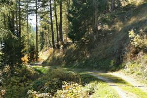 Gommer Höhenweg, oberhalb Blitzingen
