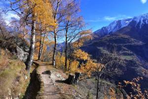 Riederi-Suone