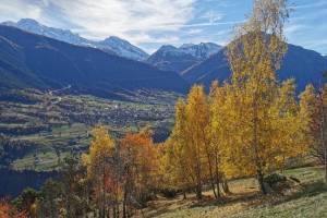 Riedersi-Suone, Blick nach Brig und in die Simplonregion