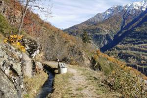 Bitscheri-Suone