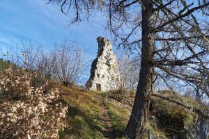 Ruine Friberg, Siat