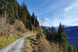 Zwischen Siat und Ruschein