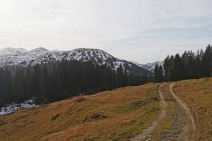 Oberhalb Scäri