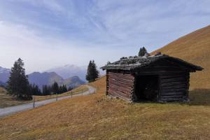 Alp Rona