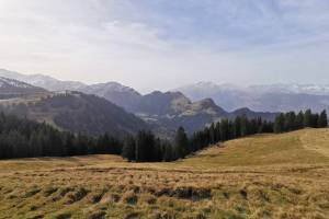 Alp Rona