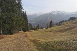 Riedji