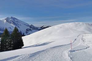 Niederbauen, Sicht zum Schwalmis