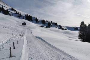 Niederbauen Ebnet