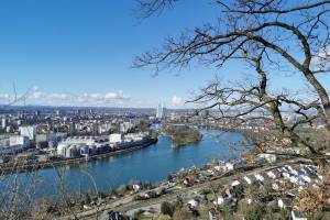 Aussichtspunkt Hornfelsen Rhein Basel