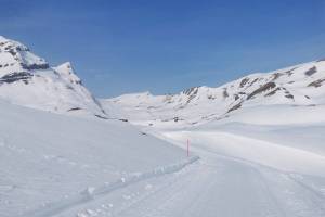 Auf dem Weg zum Bachsee