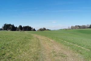 Bei Friesenberg