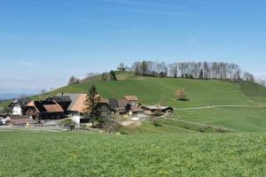 Ferrenberg