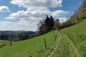 Bei Oberbühl