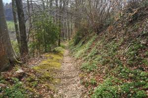 Abstieg nach Wynigen